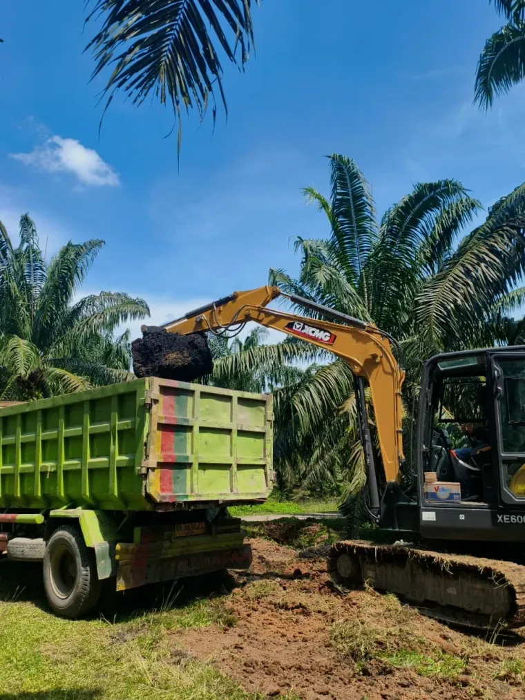 Excavator memuat solid dari kolam limbah PKS ke bak truk di kebun sawit