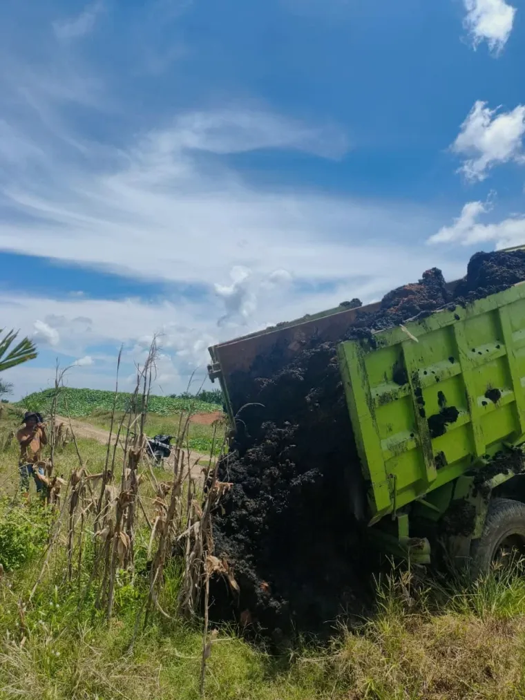 Truk menuang solid sebagai pupuk organik di lahan sawit
